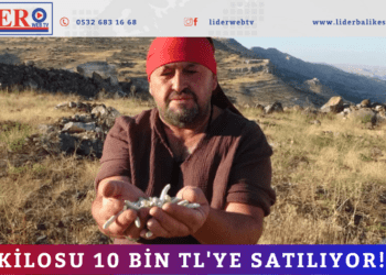 Kilosu 10 bin TL’ye satılıyor!