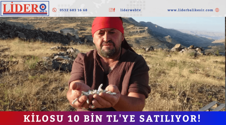Kilosu 10 bin TL’ye satılıyor!