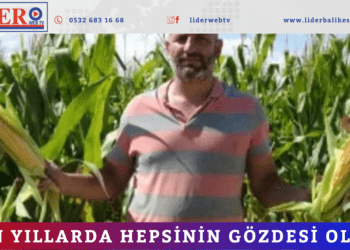 Son yıllarda hepsinin gözdesi oldu!