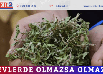 ‘Evlerde olmazsa olmaz’