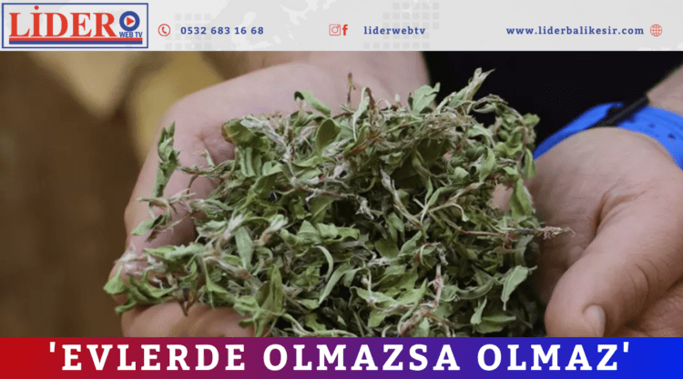 ‘Evlerde olmazsa olmaz’