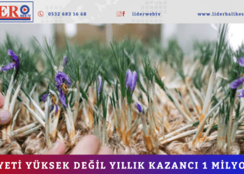 Maliyeti yüksek değil yıllık kazancı 1 milyon TL!