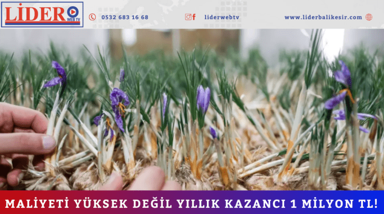 Maliyeti yüksek değil yıllık kazancı 1 milyon TL!