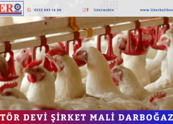 Sektör devi şirket mali darboğazda!