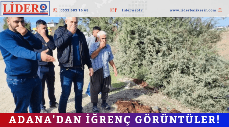 Adana’dan iğrenç görüntüler! 
