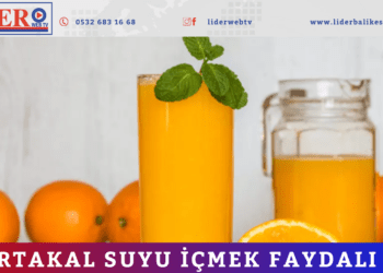 Portakal suyu içmek faydalı mı?