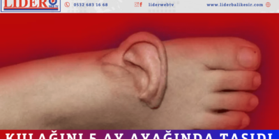 Haber Genel Web Sitesi - 2025-12-11T122744.210