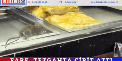 Haber Genel Web Sitesi - 2025-12-17T121655.235