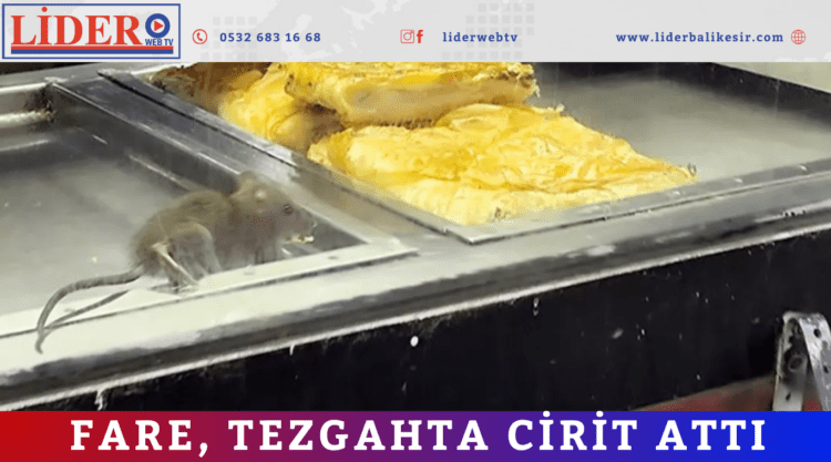 İzmir’deki börekçide skandal görüntü!