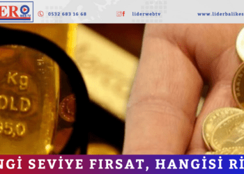 Hangi seviye fırsat, hangisi risk?