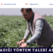 Uyguladığı yöntem talebi artırdı