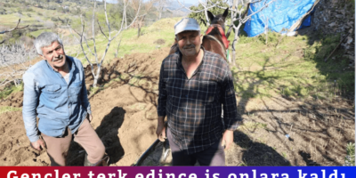 Haber Genel Web Sitesi - 2026-04-24T102116.055