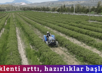 Beklenti arttı, hazırlıklar başladı
