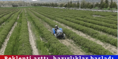 Haber Genel Web Sitesi - 2026-04-24T112440.370