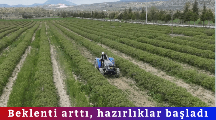 Beklenti arttı, hazırlıklar başladı