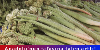 Haber Genel Web Sitesi - 2026-04-27T160500.809