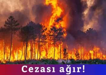 Cezası ağır!