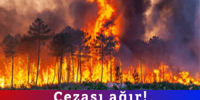 Haber Genel Web Sitesi - 2026-04-27T163954.377