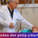  Ağzından dev polip çıkartıldı