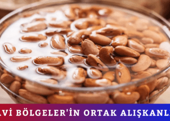 MAVİ BÖLGELER’İN ORTAK ALIŞKANLIĞI
