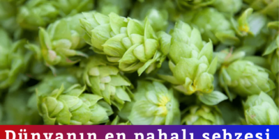 Haber Genel Web Sitesi - 2026-04-30T140928.663