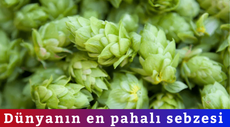 Türkiye’de çöpe gidiyor Avrupa’da 53 bine satılıyor!