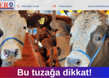 Bu tuzağa dikkat!