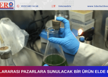 Mürekkep balığından güneş kremi yaptılar