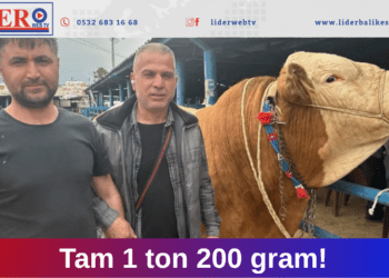 Tam 1 ton 200 gram!