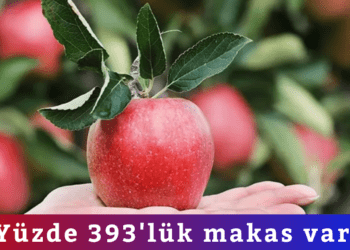  Yüzde 393’lük makas var