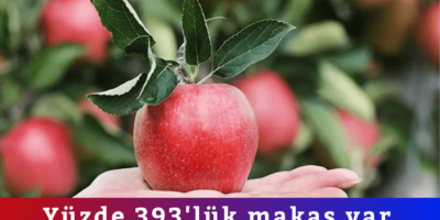 Haber Genel Web Sitesi - 2026-05-02T111312.562