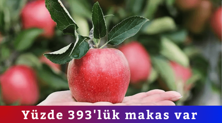  Yüzde 393’lük makas var