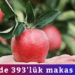  Yüzde 393’lük makas var