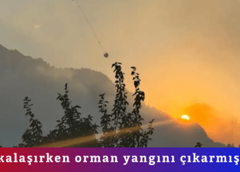 Şakalaşırken orman yangını çıkarmıştı! 