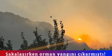 Şakalaşırken orman yangını çıkarmıştı! 