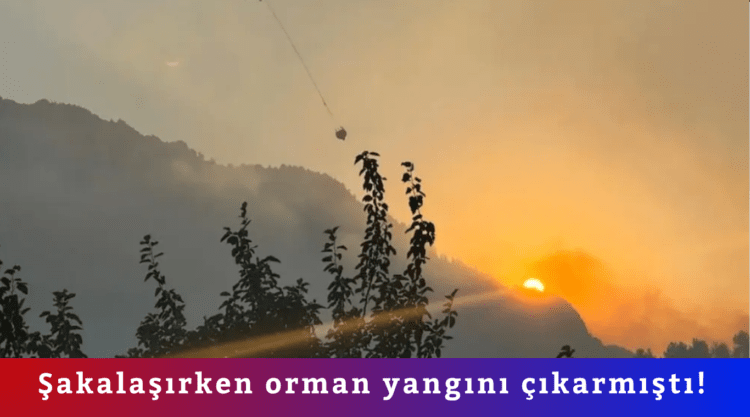 Şakalaşırken orman yangını çıkarmıştı! 