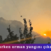 Şakalaşırken orman yangını çıkarmıştı! 