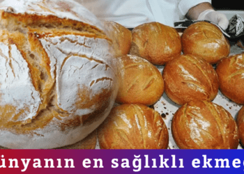 Dünyanın en sağlıklı ekmeği Türkiye’de: 12 bin yıllık tohumla üretiliyor