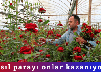 Asıl parayı onlar kazanıyor