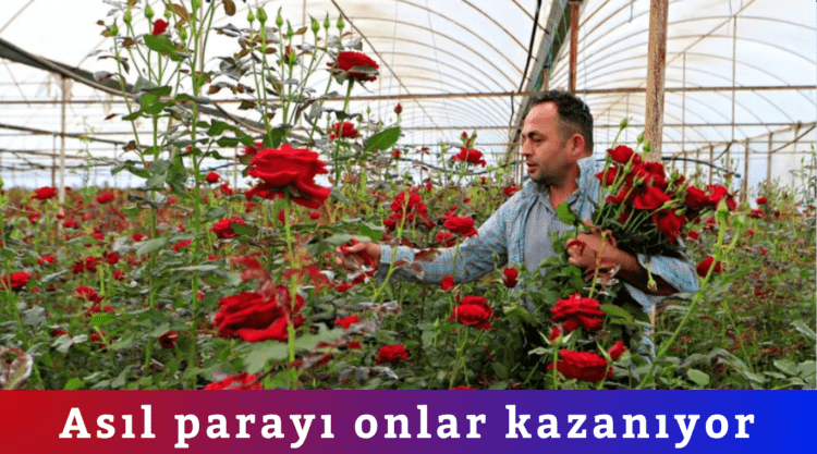 Asıl parayı onlar kazanıyor