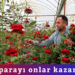 Asıl parayı onlar kazanıyor