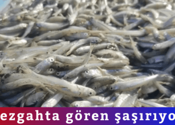Tezgahta gören şaşırıyor