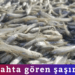 Tezgahta gören şaşırıyor