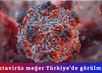  Hantavirüs meğer Türkiye’de görülmüş!