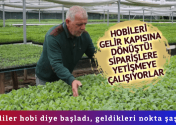 Emekliler hobi diye başladı, geldikleri nokta şaşırttı 