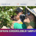 TOPRAKTAN SOFRAYA SÜRDÜRÜLEBİLİR TARIM UYGULAMALARI