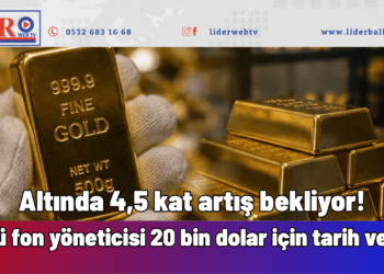 Altında 4,5 kat artış bekliyor! Ünlü fon yöneticisi 20 bin dolar için tarih verdi