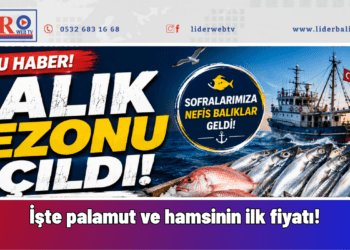 Denizlerde sezon açıldı: İşte palamut ve hamsinin ilk fiyatı!