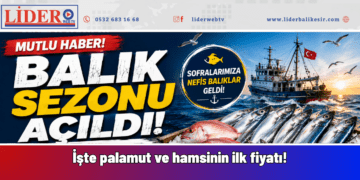 Denizlerde sezon açıldı: İşte palamut ve hamsinin ilk fiyatı!