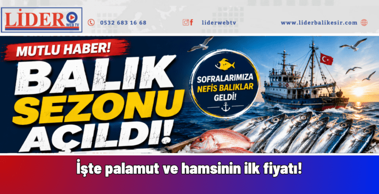 Denizlerde sezon açıldı: İşte palamut ve hamsinin ilk fiyatı!